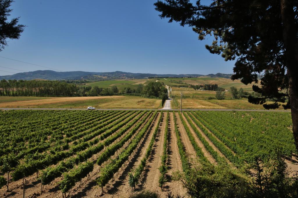Azienda Agricola E Agriturismo Vallorsi Terricciola ภายนอก รูปภาพ